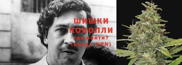 марихуана Богданович