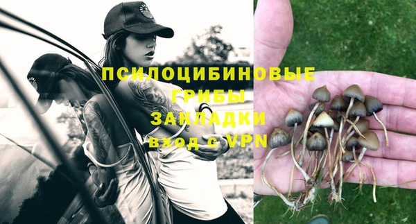 соль курить ск Богородицк