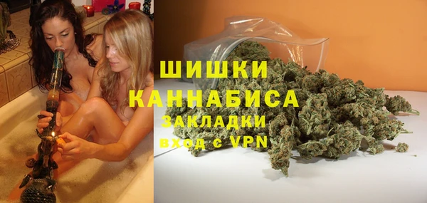 Альфа ПВП Богородск